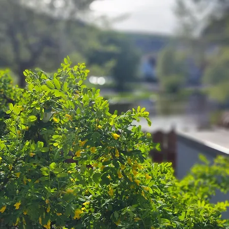In Unserem Traumhaus Am Fluss 卡尔曼兹